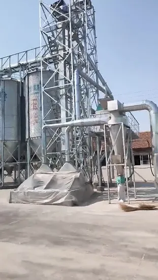 1000 톤 Ppaddy 사일로 볼트 조립식 농장 빈 제조업체 골판지 강철 곡물 사일로 저렴한 가격 판매